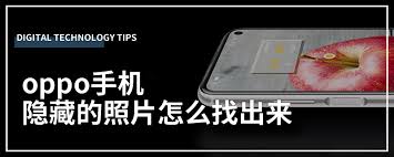2024年Oppo手机相册隐藏照片如何找回