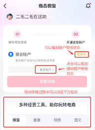 2024年抖音带货橱窗如何启用微信支付功能