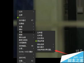2024年选择最好用的视频播放器软件有哪些优势？