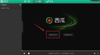 2024年选择最好用的视频播放器软件有哪些优势？