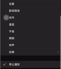 2024年苹果手机定时暂停功能如何启用