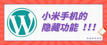2024年小米手机如何启用开发者模式