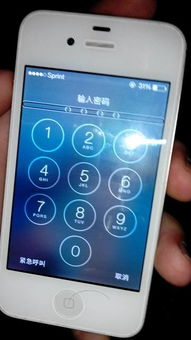 2024年苹果手机黑屏无法启动怎么办